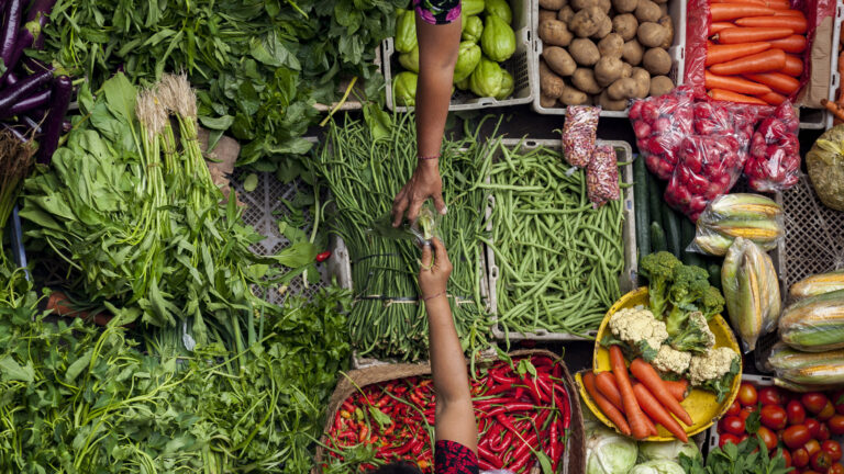 unwto-completes-gastronomy-tourism-project-for-ubud-indonesia